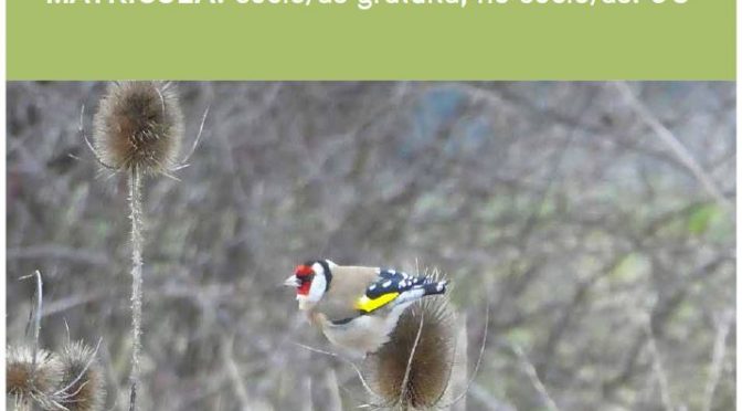 Paseos ornitológicos 1