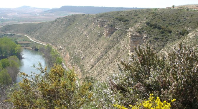 Comarcas Mediterráneas: El Valle del Ebro (Recorridos Botánicos Didácticos 2019)